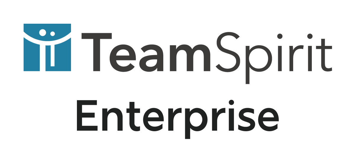 TeamSpirit Enterprise 勤怠